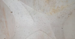 Castrignano De Greci, nel cuore della Grecìa Salentina, antica masseria da ristrutturare