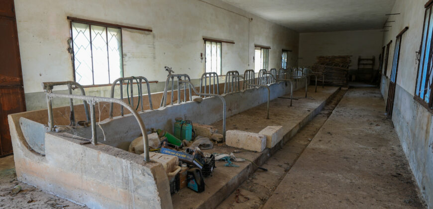 Castrignano De Greci, nel cuore della Grecìa Salentina, antica masseria da ristrutturare