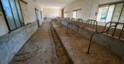 Castrignano De Greci, nel cuore della Grecìa Salentina, antica masseria da ristrutturare