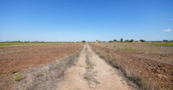 Castrignano De Greci, nel cuore della Grecìa Salentina, antica masseria da ristrutturare