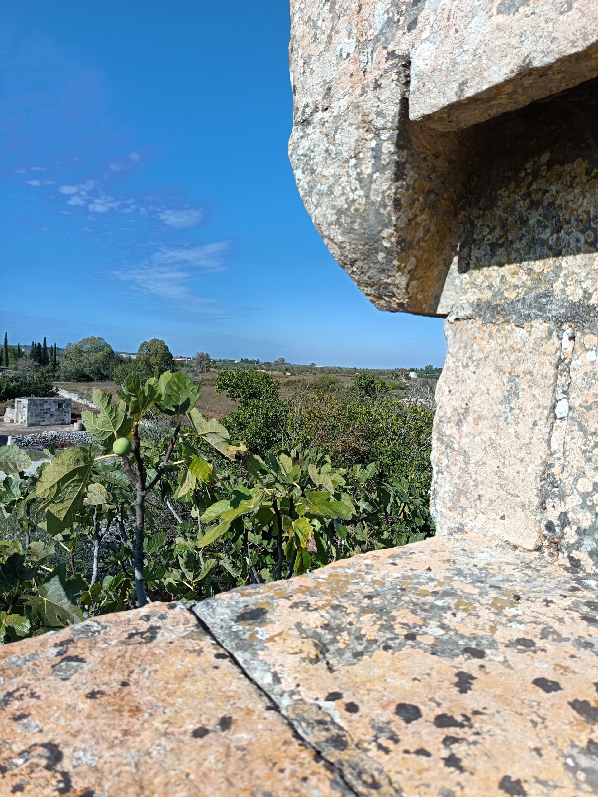 Castrignano De Greci, nel cuore della Grecìa Salentina, antica masseria da ristrutturare