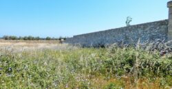 Terreno con trullo da ristrutturare sulla Lecce-Frigole (5° km)