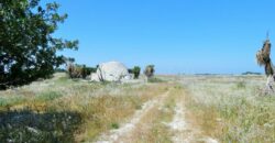 Terreno con trullo da ristrutturare sulla Lecce-Frigole (5° km)