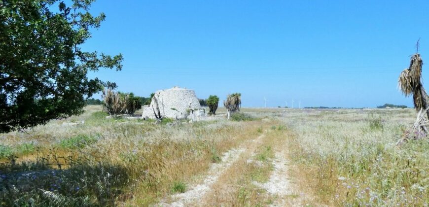 Terreno con trullo da ristrutturare sulla Lecce-Frigole (5° km)