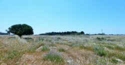 Terreno con trullo da ristrutturare sulla Lecce-Frigole (5° km)