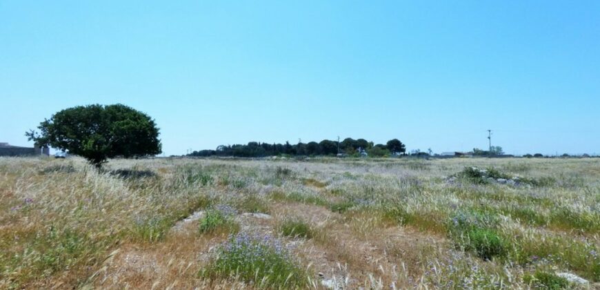 Terreno con trullo da ristrutturare sulla Lecce-Frigole (5° km)