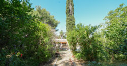 Prestigiosa Villa con Parco Privato e Straordinario Potenziale Edificatorio a Castromediano (Lecce)