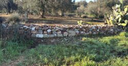 Splendida proprietà con trulli e piscina in vendita nella Valle d’Itria – Ceglie Messapica (BR)Stunning Trulli Property with Pool for Sale in the Itria Valley – Ceglie Messapica (BR)