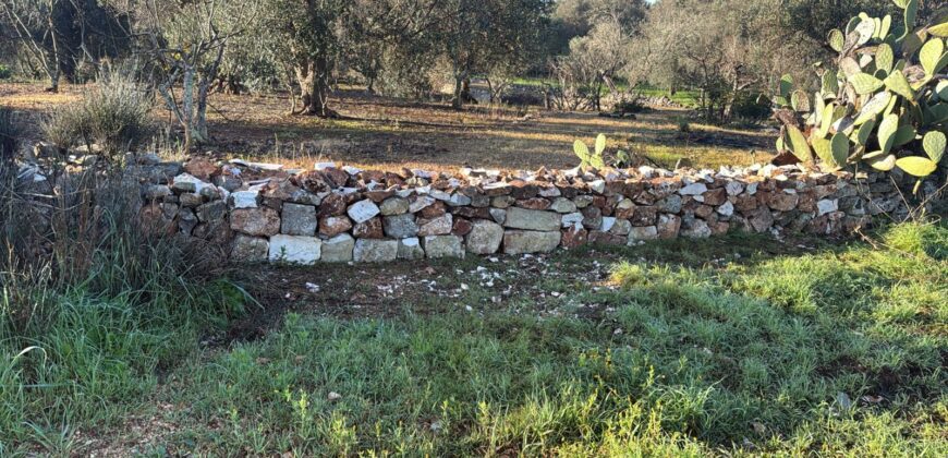 Splendida proprietà con trulli e piscina in vendita nella Valle d’Itria – Ceglie Messapica (BR)Stunning Trulli Property with Pool for Sale in the Itria Valley – Ceglie Messapica (BR)