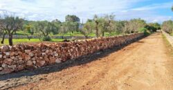 Splendida proprietà con trulli e piscina in vendita nella Valle d’Itria – Ceglie Messapica (BR)Stunning Trulli Property with Pool for Sale in the Itria Valley – Ceglie Messapica (BR)