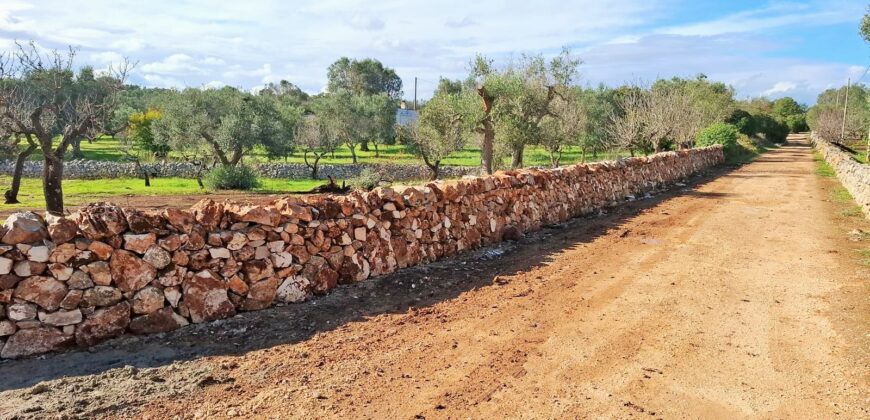 Splendida proprietà con trulli e piscina in vendita nella Valle d’Itria – Ceglie Messapica (BR)Stunning Trulli Property with Pool for Sale in the Itria Valley – Ceglie Messapica (BR)