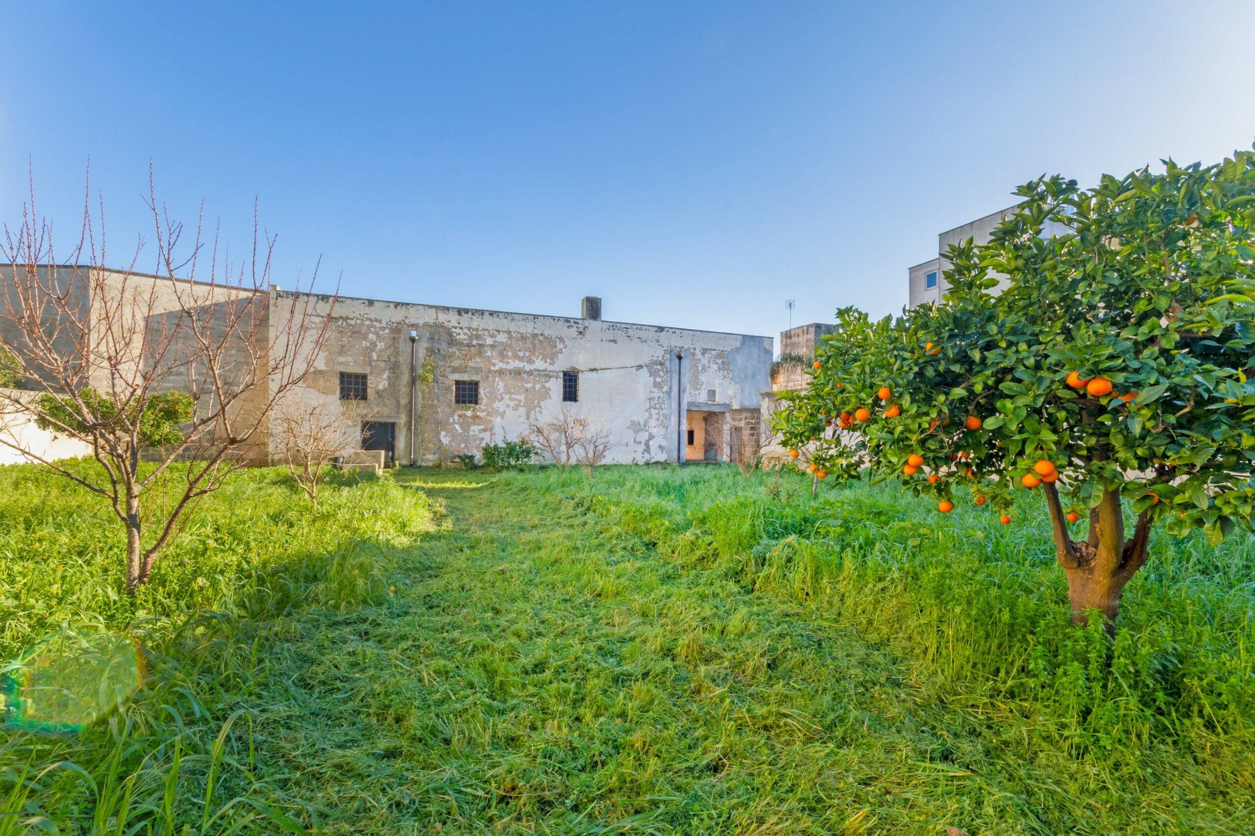 Dimora a corte, ex frantoio con giardino Collemeto-Galatina