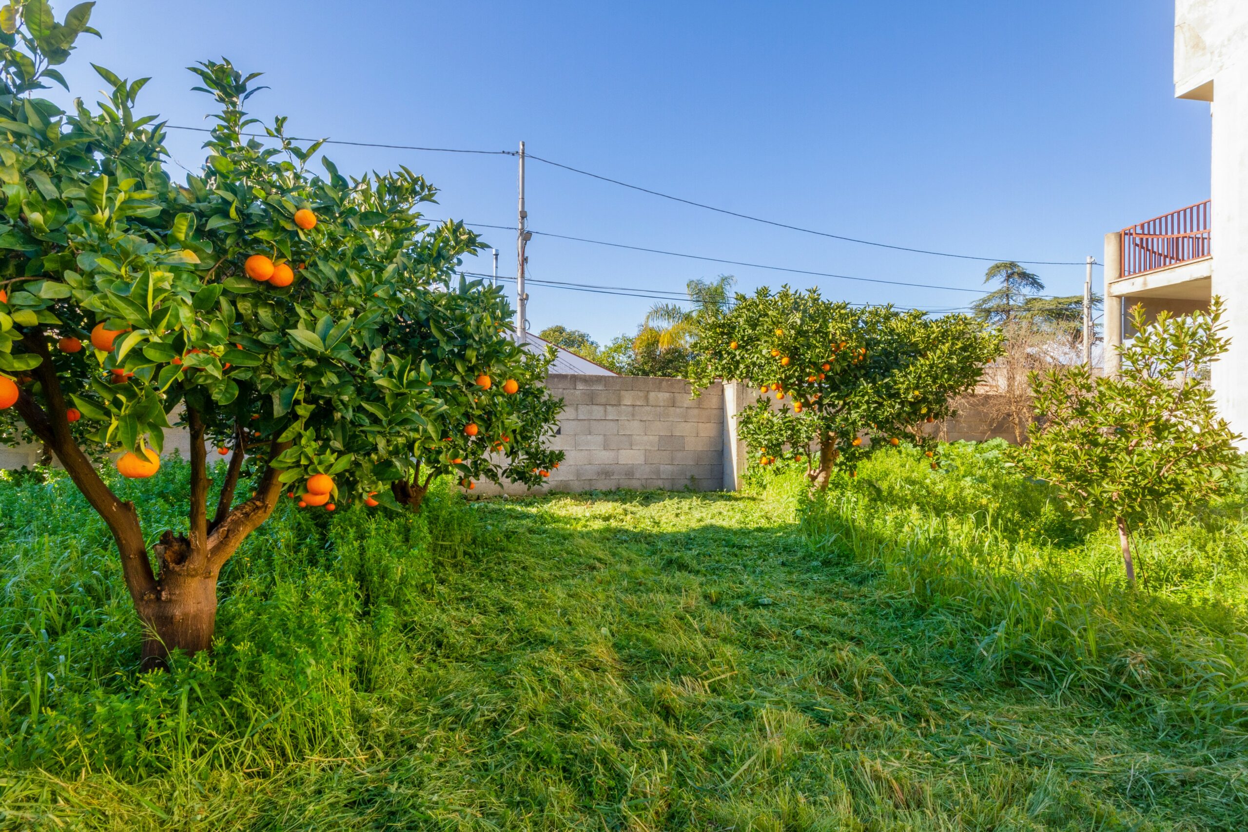 Dimora a corte, ex frantoio con giardino Collemeto-Galatina