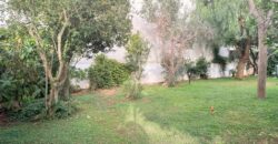 Villa di Charme a Porto Cesareo – A Pochi Passi dal Mare