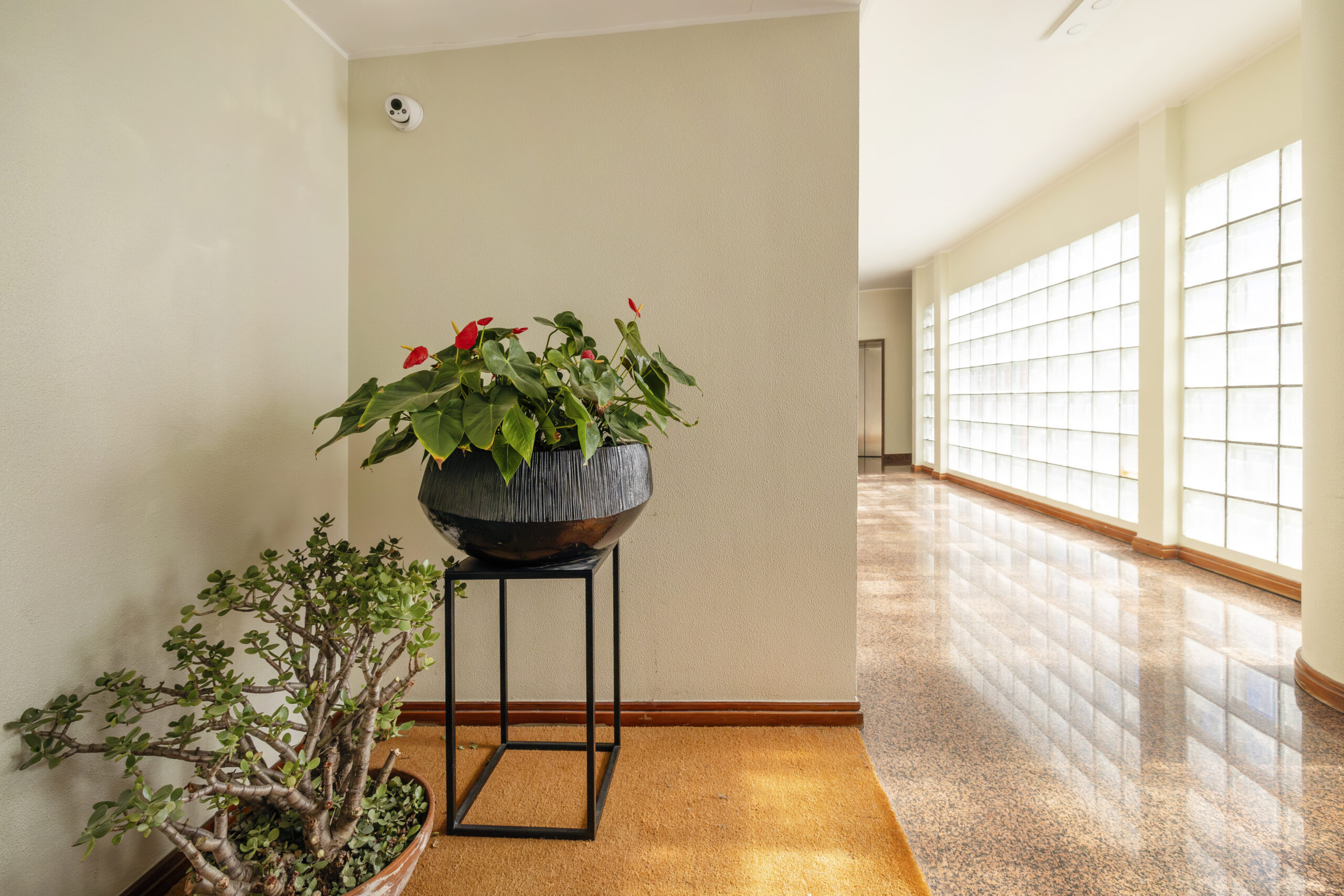 Elegante Residenza Panoramica nel Cuore di Lecce – Piazza Mazzini