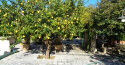 Affascinante Residenza Nobiliare d’Epoca con Giardino e Piscina a Ortelle, a 3 km dal Mare  Charming Historic Noble Residence with Garden and Pool in Ortelle, 3 km from the Sea”