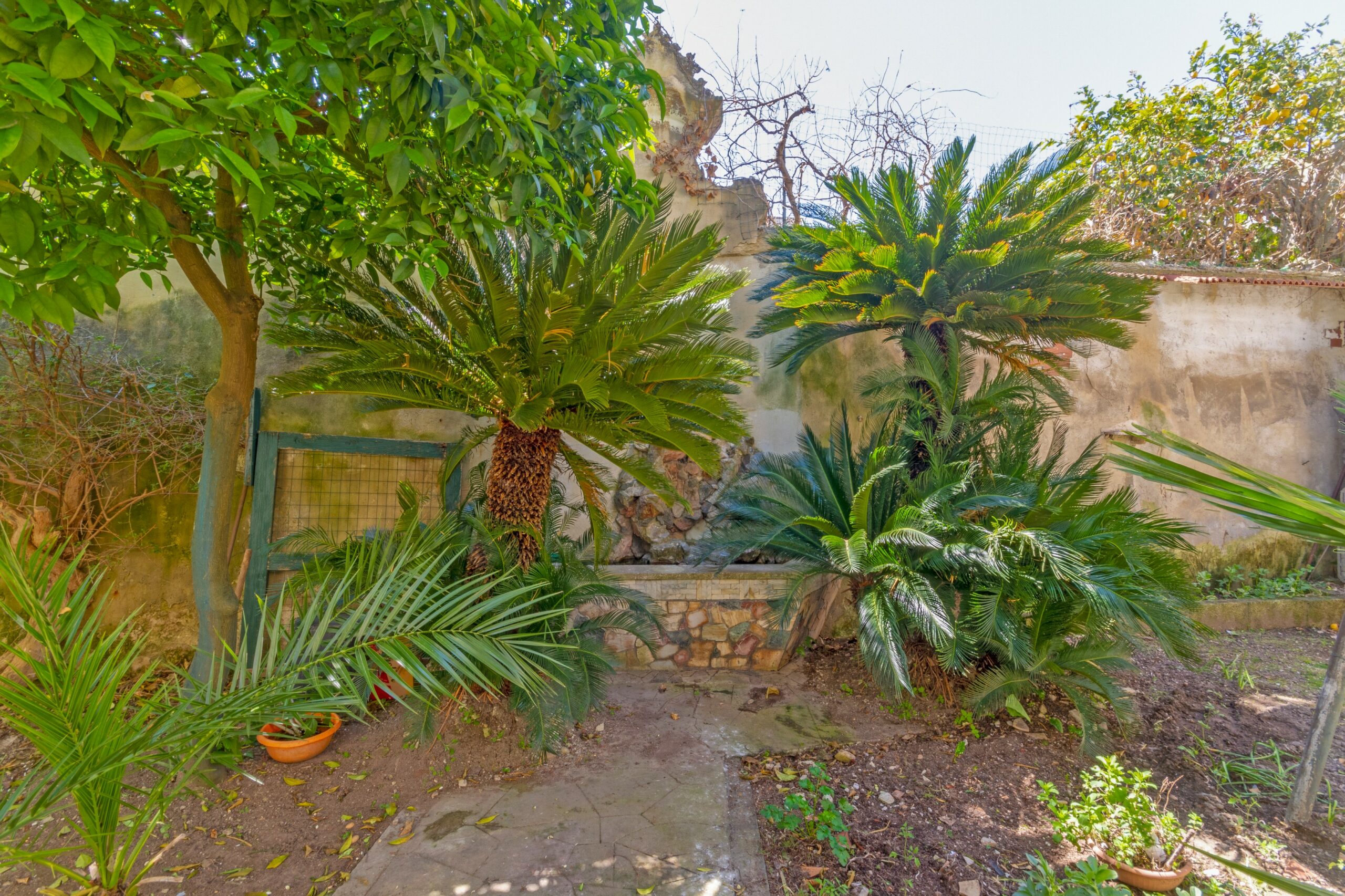 Lecce Centro storico in Palazzo storico del ‘700 Appartamento con Giardino e Terrazzo al livello e area solare di pertinenza