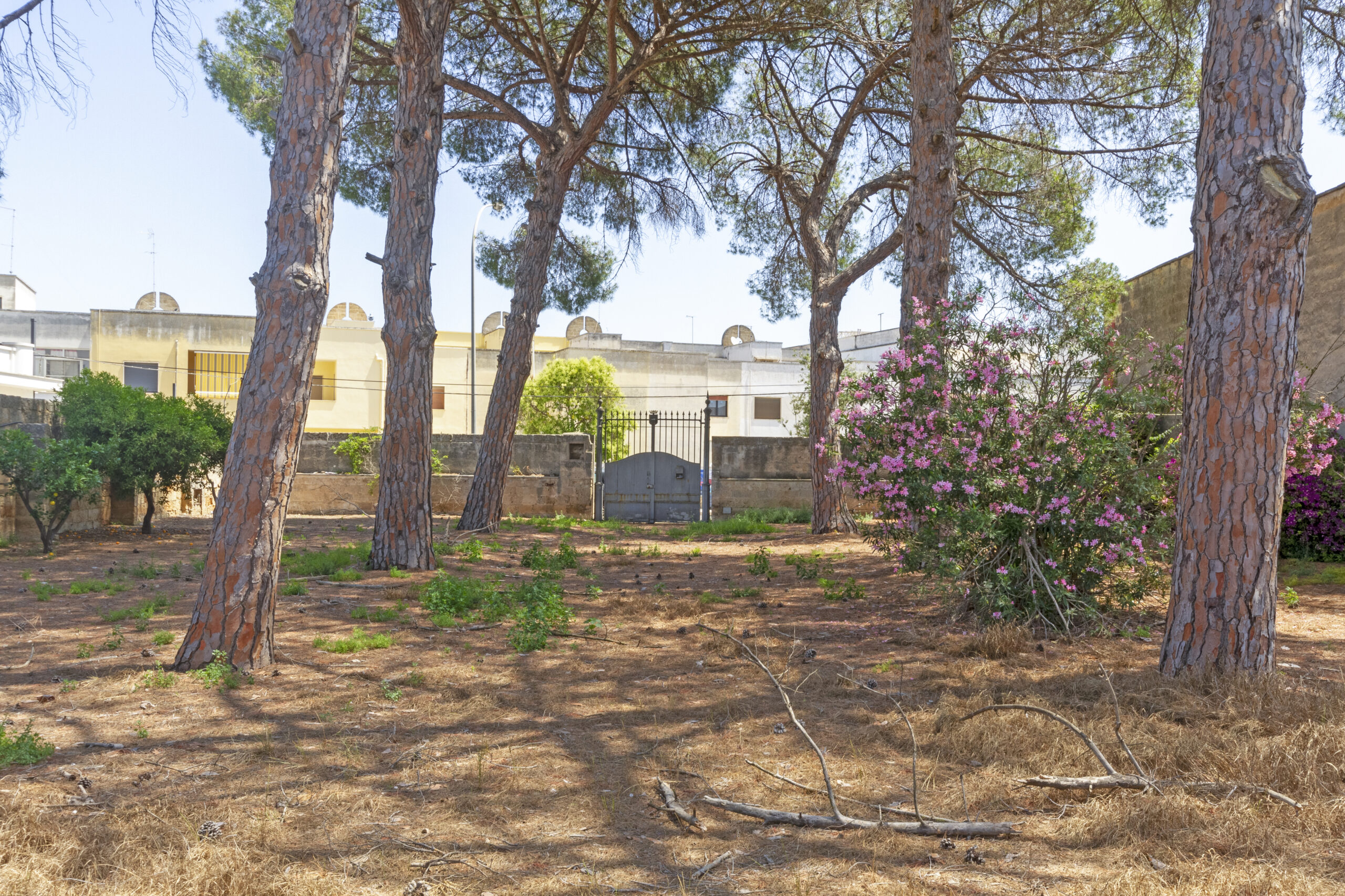 Residenza d’Epoca con Giardino nel Cuore di Squinzano