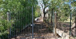 Prestigioso Complesso di Trulli e Lamie a Ceglie Messapica
