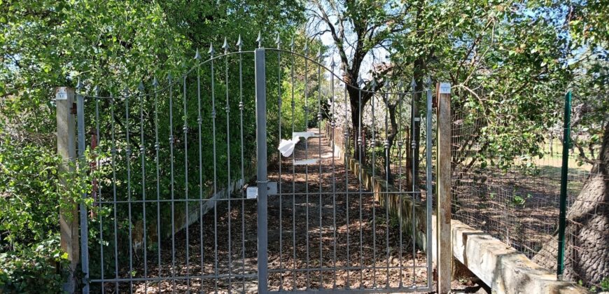 Prestigioso Complesso di Trulli e Lamie a Ceglie Messapica
