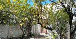 Prestigioso Complesso di Trulli e Lamie a Ceglie Messapica