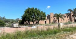 Un’eccellenza produttiva nel cuore del Salento